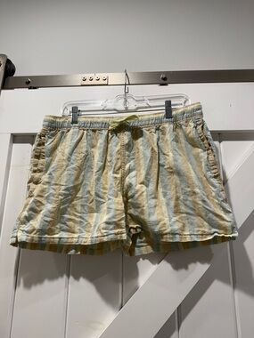 Patagonia Women's Yellow & Light Blue Striped Shorts